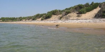 The River Irminio Nature Reserve