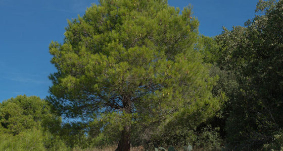 Sicily Nature Reserves