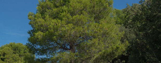 Sicily Nature Reserves