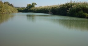 La Riserva Naturale Fiume Irminio