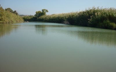 La Riserva Naturale Fiume Irminio
