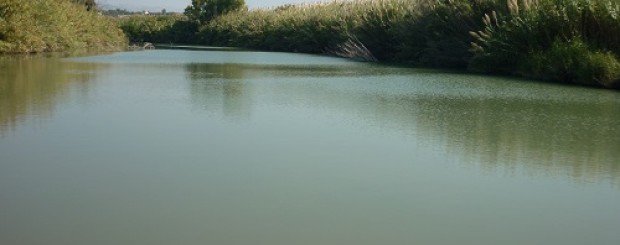 La Riserva Naturale Fiume Irminio
