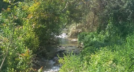 Escursioni naturalistiche