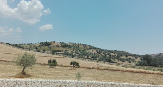 Campagna Ragusana