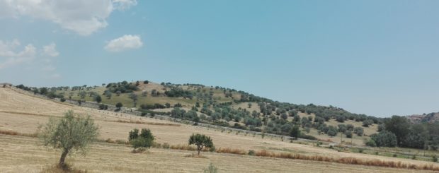 Campagna Ragusana