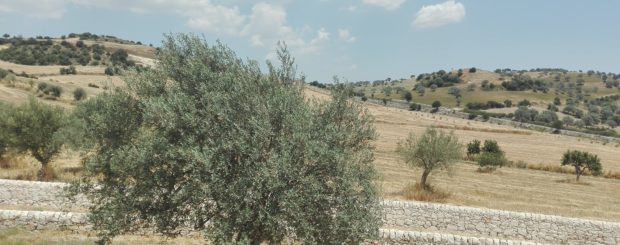 Countryside Ragusa